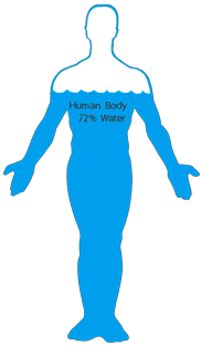 Human Body 70% Water